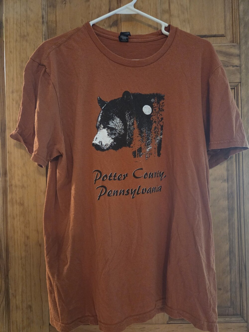 District Rust Brown Bear Graphic Dog Tee